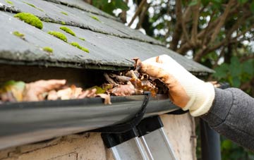 gutter cleaning The Lunt, West Midlands